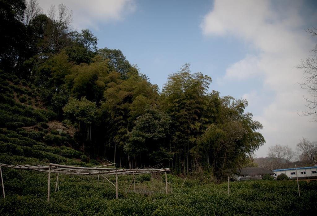 Hangzhou Banyan Art House Екстер'єр фото